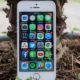 Iphone iPhone SE 2: el smartphone “barato” de Apple llegaría en dos tamaños para ampliar la familia a seis iPhone en…