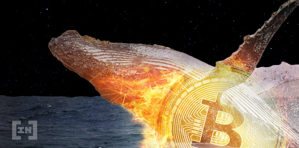 Una ballena de Bitcoin advierte sobre el mercado inflado